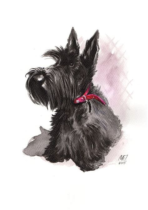 Scottish Terrier Original Ink Painting Etsy Scottie Dog Scottie