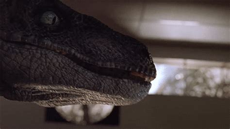 Jurassic Park Velociraptors  Find And Share On Giphy