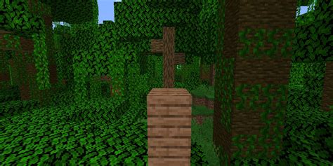 How To Get Every Wood Plank In Minecraft