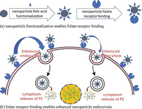 Important Advances In Antibacterial Nanoparticle Mediated Photodynamic Therapy Intechopen