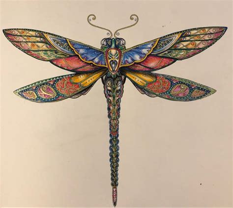 A Drawing Of A Colorful Dragonfly With Intricate Wings And Patterns On