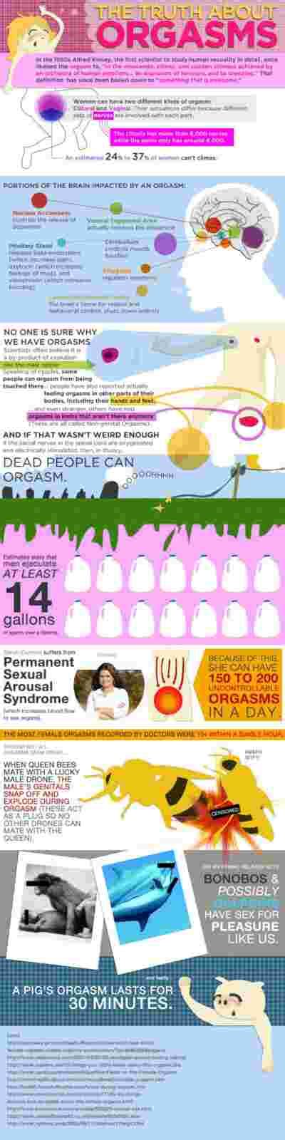 Orgasm Facts Plus And Infographic