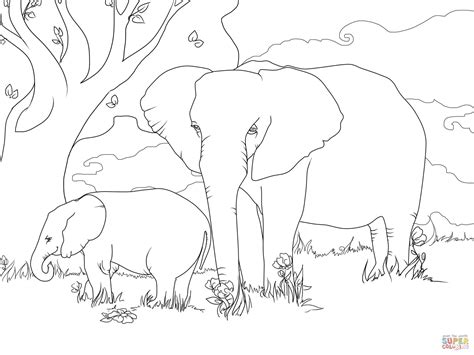 African Bush Elephants Coloring Page Free Printable Coloring Pages