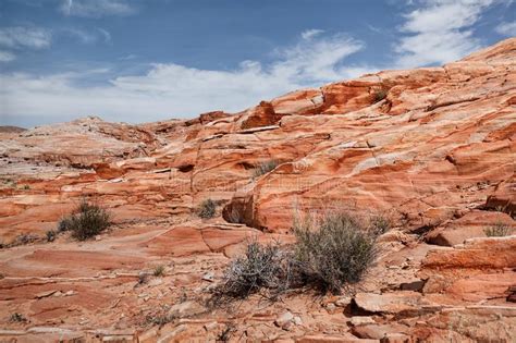 Colorful Sandstone Rocks At Desert Of Valley Of Fire State Park