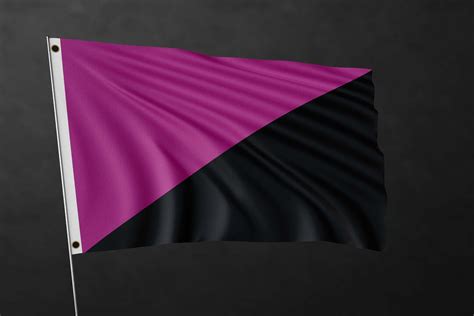 Bandera De La Bandera Del Anarquismo Queer Bandera Antifa De Etsy