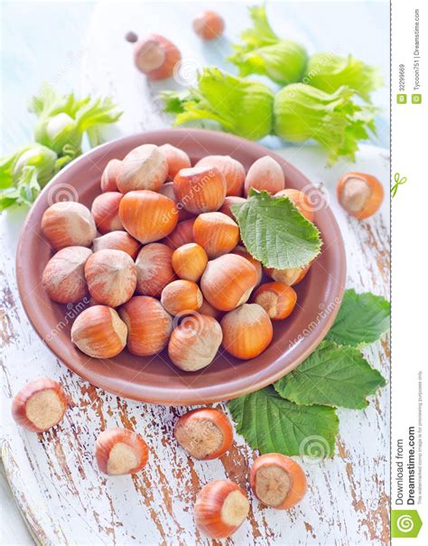 Hazelnuts Stock Image Image Of Hazelnut Edible Green 32299669