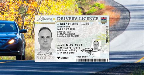 Alberta Drivers Licence Renewal Ama