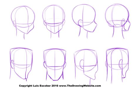 Head Shape Drawing At Getdrawings Free Download