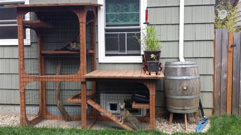 Do outdoor cats have more health concerns? Pet Talk: Catios are a good compromise in the indoor ...