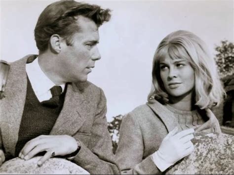 Darling 1965