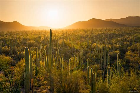 Saguaro National Park Mountain Photography By Jack Brauer