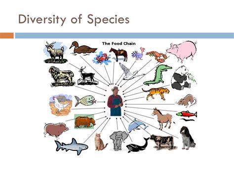 Ppt Diversity Of Living Things Powerpoint Presentation Free Download