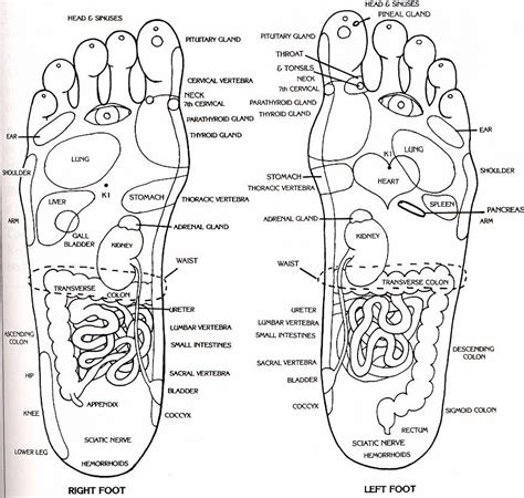 Treat Problems With Tcm Reflexology China Acupuncture And Herbal Clinic