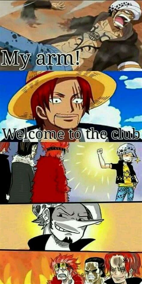 One Piece Slander Memes Onepiecejullls