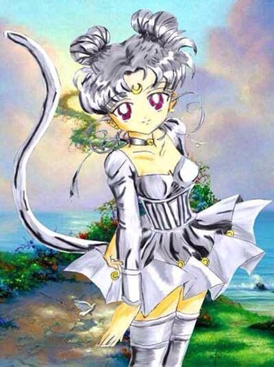 Diana Human Form Sailor Moon Cat Sailor Moon Character Sailor Moon