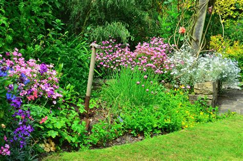 Idealny Ogród Wiejski Mój Piękny Ogród Ogrody Ozdobne Rośliny Kwiaty