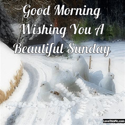 Good Morning Wishing You A Beautiful Sunday Pictures