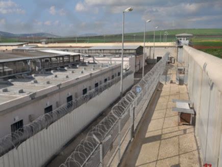 More images for כלא גלבוע » בתי הכלא שארגוני הפשע בישראל מפחדים להגיע אליהם