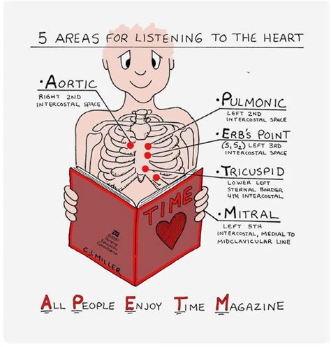 Heart Sounds Overall Science