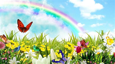 Rainbow Surprises Rainbow Flowers Spring Birds Field Butterflies