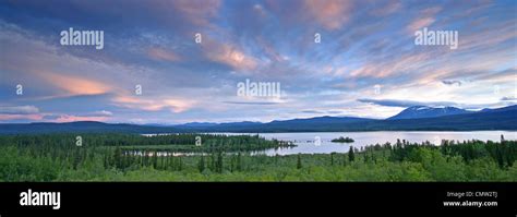 Panoramic Of Teslin Lake At Sunset Teslin Yukon Stock Photo Alamy