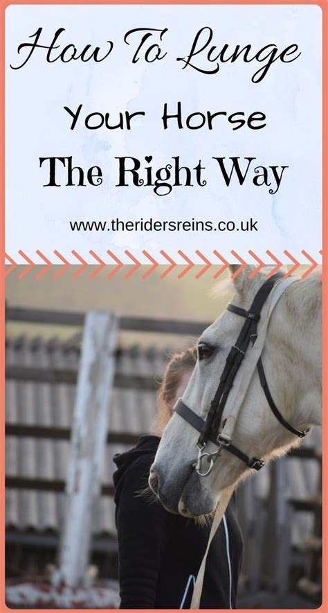 An uptight horse, tied down with side reigns falling in a word of warning here: How To Lunge Your Horse The Right Way | Horses, Horse ...
