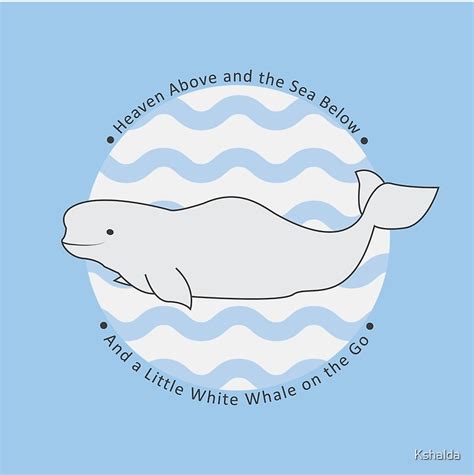 Baby Beluga Whale By Kshalda Redbubble