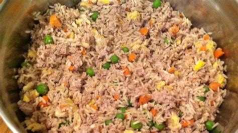 Homemade Dog Food Recipe Ground Turkey Rice And Veggies Truly Hand