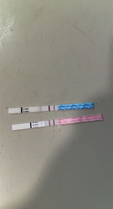 Positive Ovulation Test And Positive Pregnancy Test Babycenter