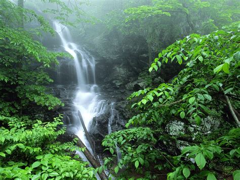 Wallpaper Waterfall Nature Green Jungle Stream Rainforest