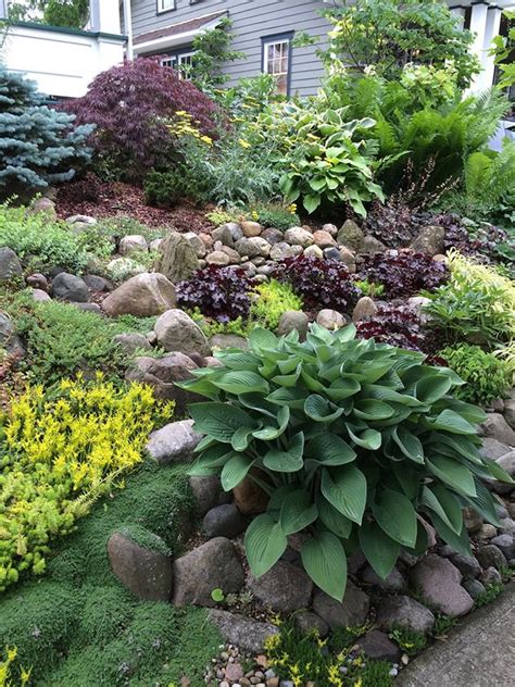 Rock Garden Plants For Shade Marcie Donohue