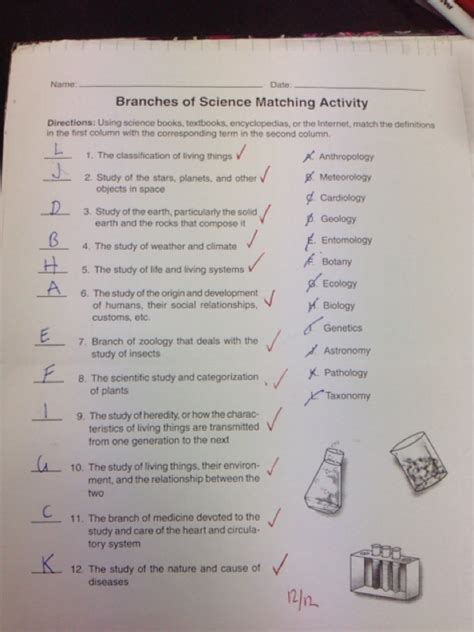 Branches Of Science Matching Activity Jasmines Blog