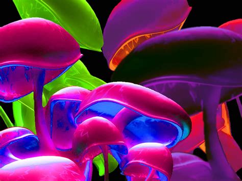 Neon Mushroom Wallpaper Wallpapersafari