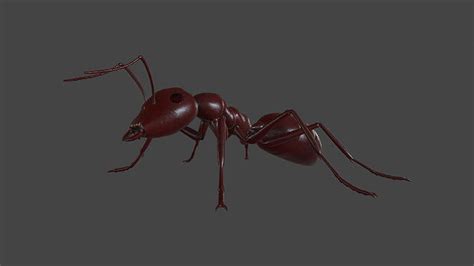 3d model ants 003 rigged red ant vr ar low poly cgtrader