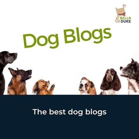 Dog Blogs Top 10 Blogs You Will Love To Read