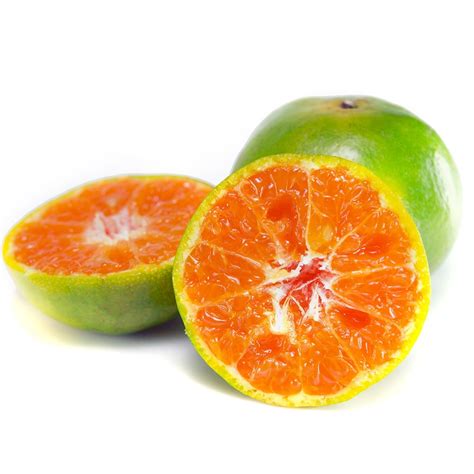Citrus Aurantium Vitajoy Usa
