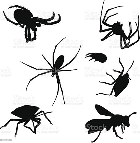 Bugs Stock Illustration Download Image Now Istock