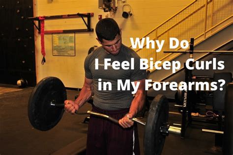 Why Do I Feel Bicep Curls In My Forearms 6 Things You Should Know My