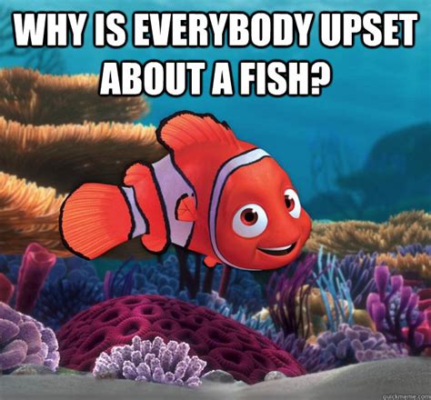 Why Is Everybody Upset About A Fish Nemo Quickmeme