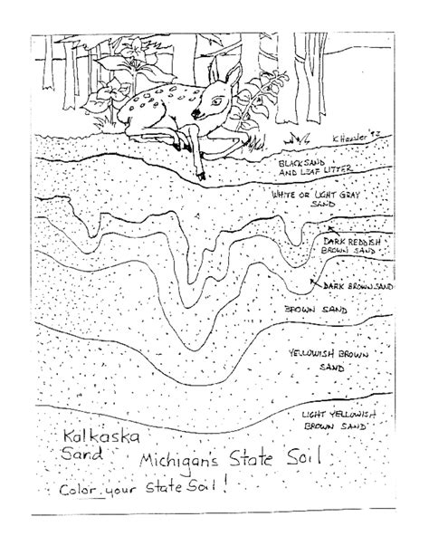 Layers Of Soil Worksheet