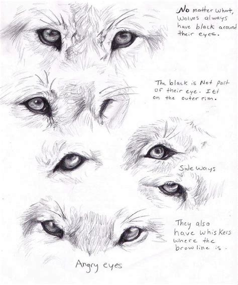 Grey kitchens ideas image cartoon eyes printable. 225 best images about WOLVES 2- DRAWING AND PAINTING on ...