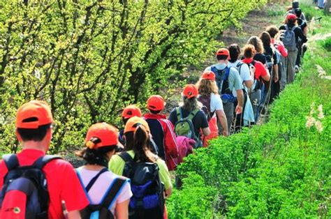 5 Consejos Para Tus Excursiones Ventana Andina