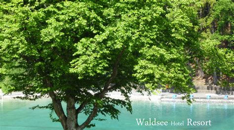 Seit gründung des ausstellungshauses im januar 1946 nimmt das haus am waldsee einen. Brilon: Waldsee Hotel Resort startet durch - brilon ...
