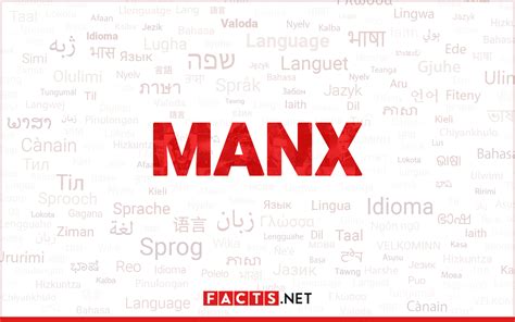 Intriguing Facts About Manx Language Facts Net