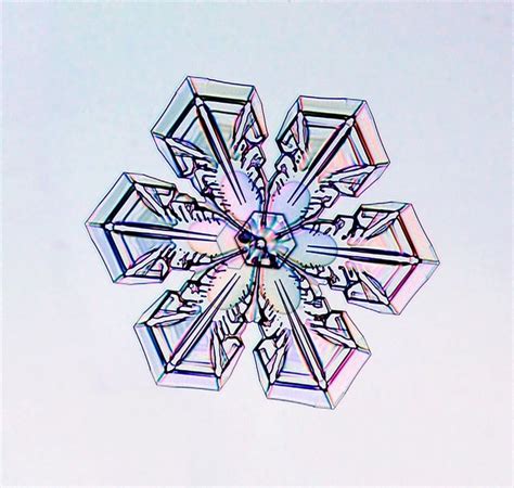 http://snowcrystals.com | Snowflakes science, Snowflakes ...