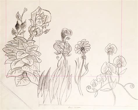 Animation Collection Original Production Animation Pan Drawing Of