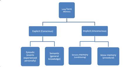 A Hierarchical Flowchart Showing Long Term Memory Classification Download Scientific Diagram
