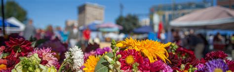 Maybe you would like to learn more about one of these? Learn to knit knitted hat patterns: Flower Bed Missoula Mt ...