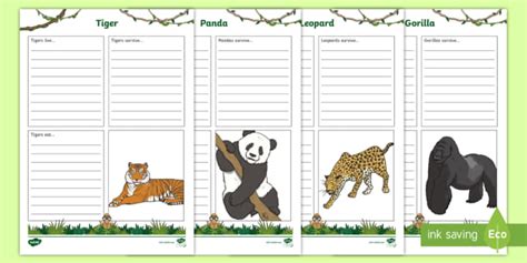 Jungle Animals Fact File Worksheet Worksheets