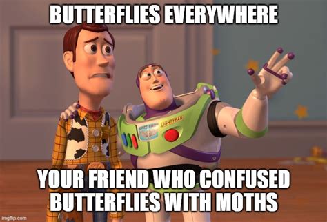 moths are not butterflies imgflip